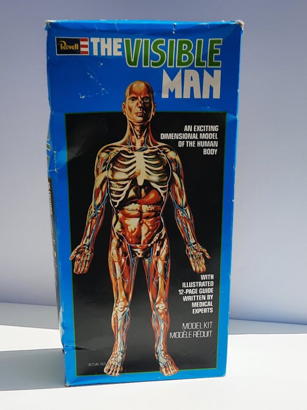 Revell The Visible Man Monogram Model Kit H900 New Opened Box Vintage Anatomy